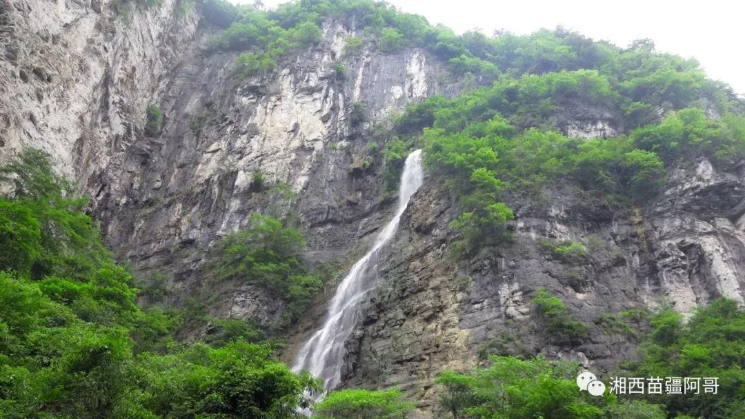 滨州医学院发布紧急通知，为云南新疆受灾学生开通资助通道